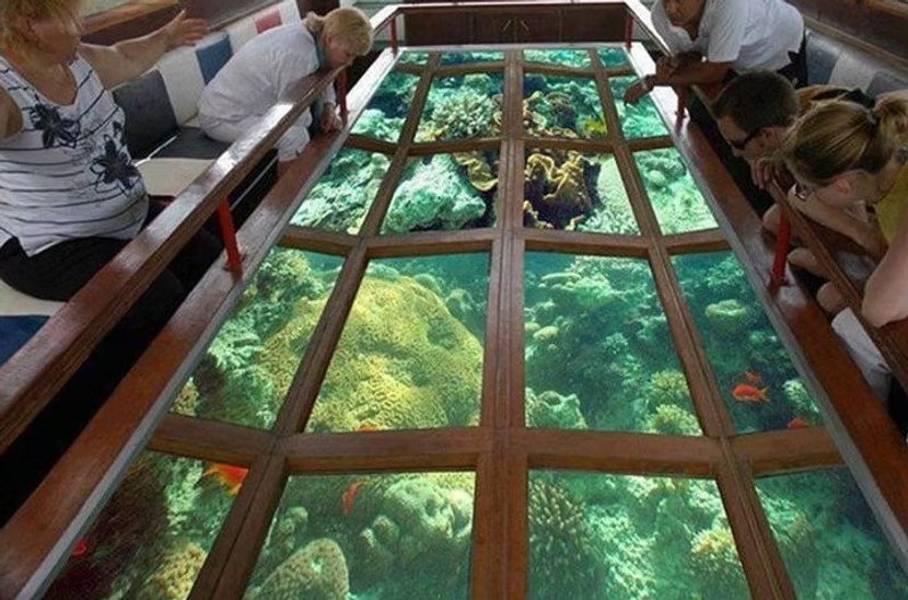 Glass bottom boat over the lagoon reef