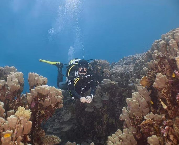 Introductory scuba dive in Dahab