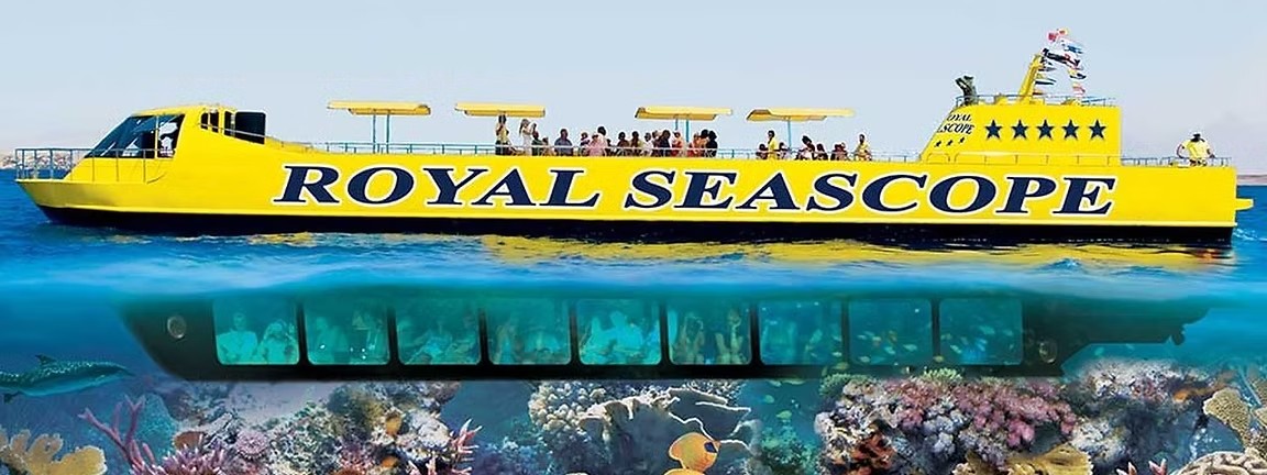 Yellow Submarine excursion at Napoleon Reef