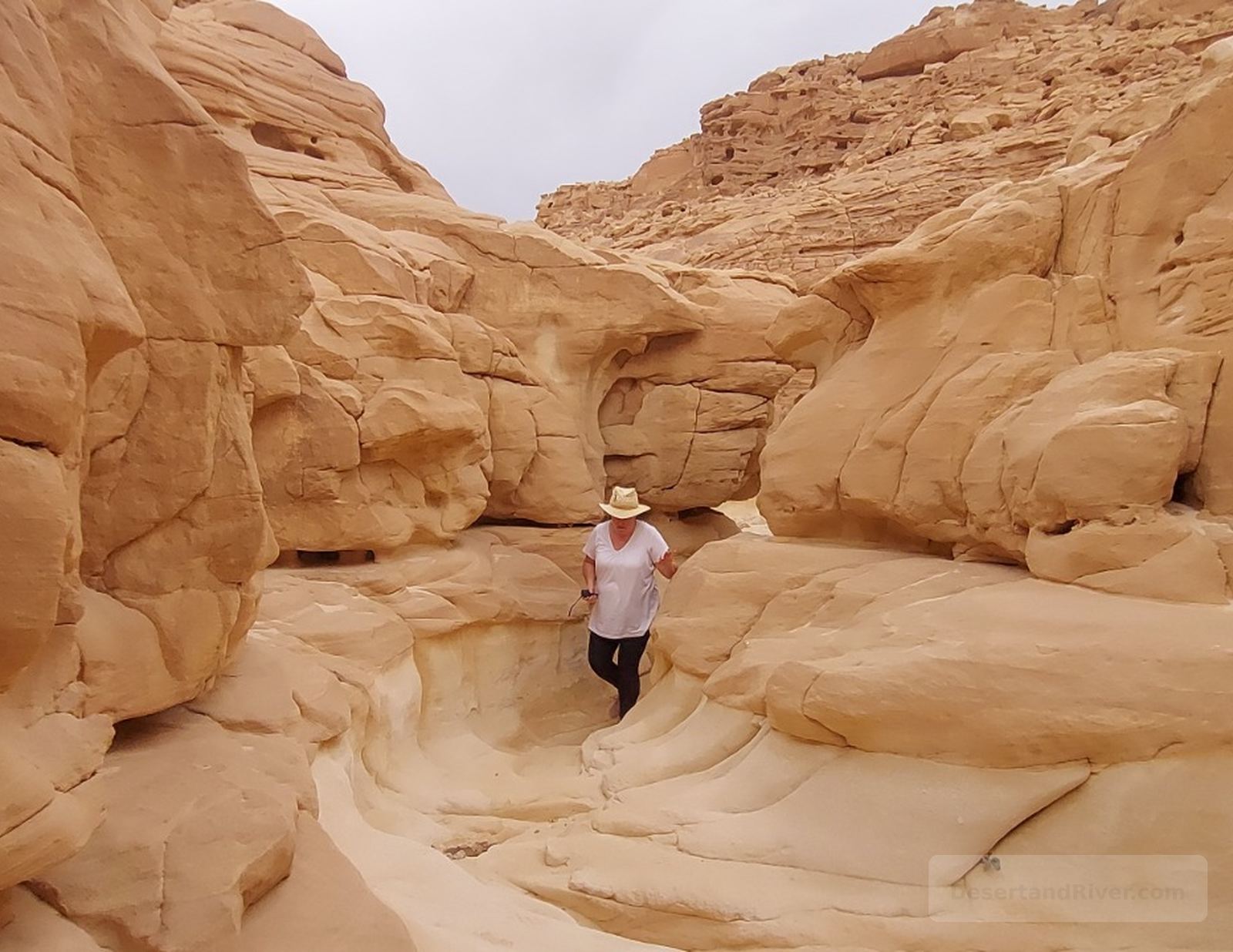 Smooth sandstone passage in Arada Canyon (Double Canyon) in southern Sinai, with hikers walking through sculpted rock walls.