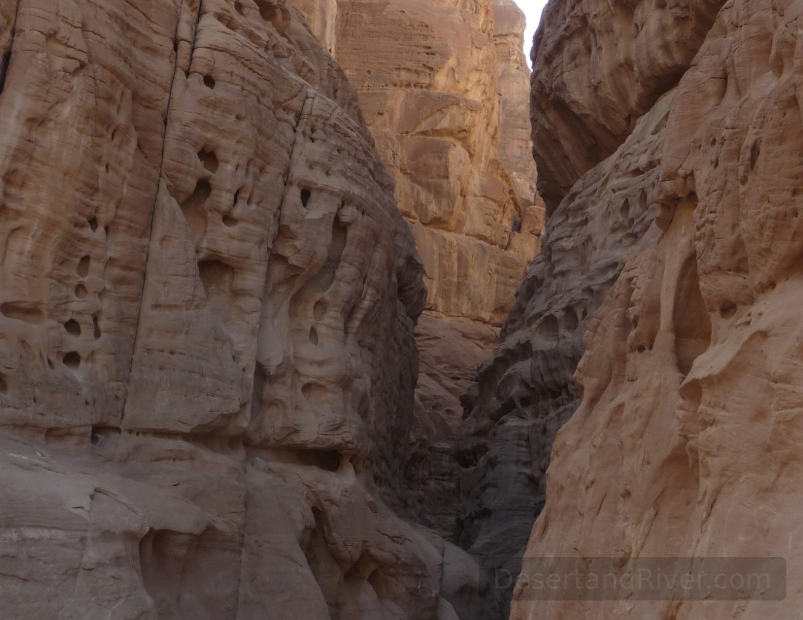 Tall sandstone walls of Closed Canyon near Ain Khudra Oasis, Sinai Peninsula, forming a narrow winding passage in soft light.