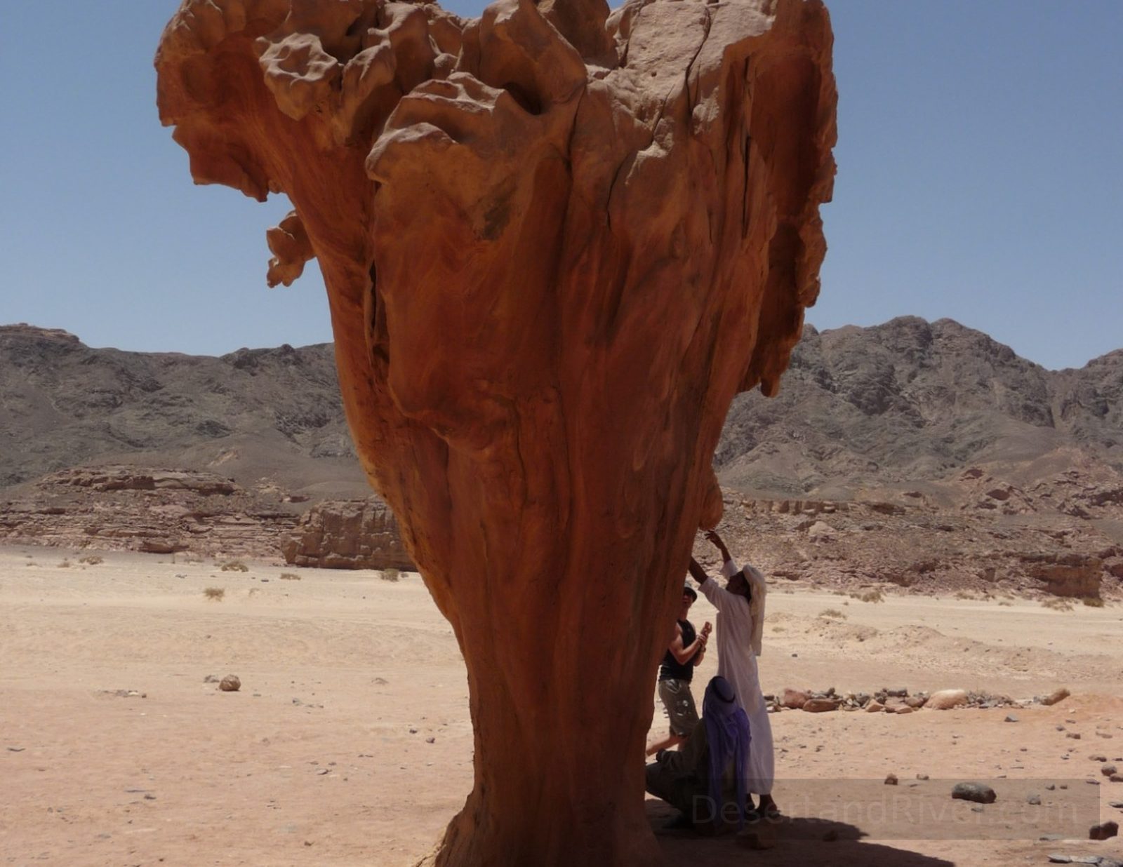 Wind-sculpted Mushroom Stone in South Sinai, a tall sandstone pedestal rock casting a long shadow on the desert floor.