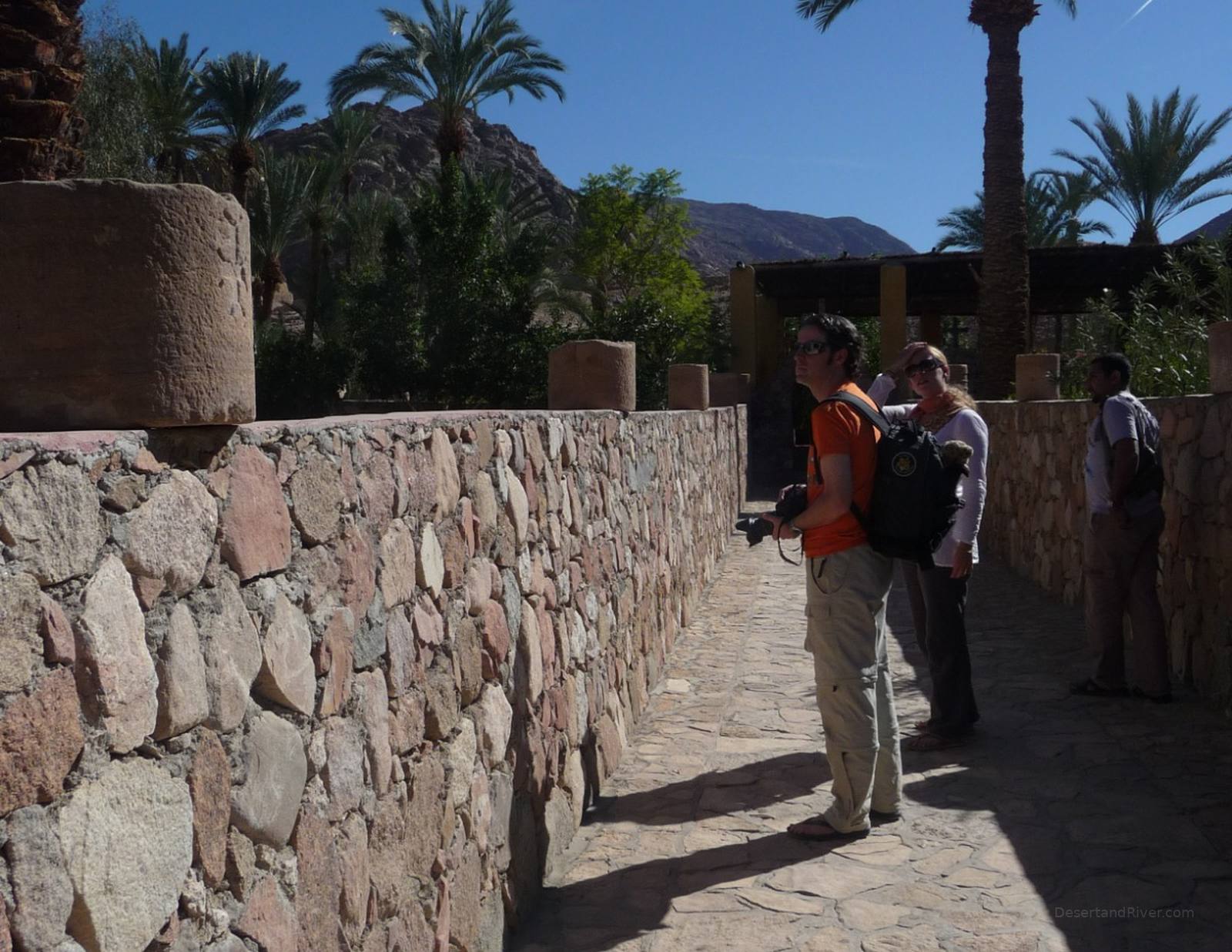 Stone walkway inside the Seven Nuns Monastery in South Sinai, lined with palm trees and low stone walls beneath a deep blue desert sky.