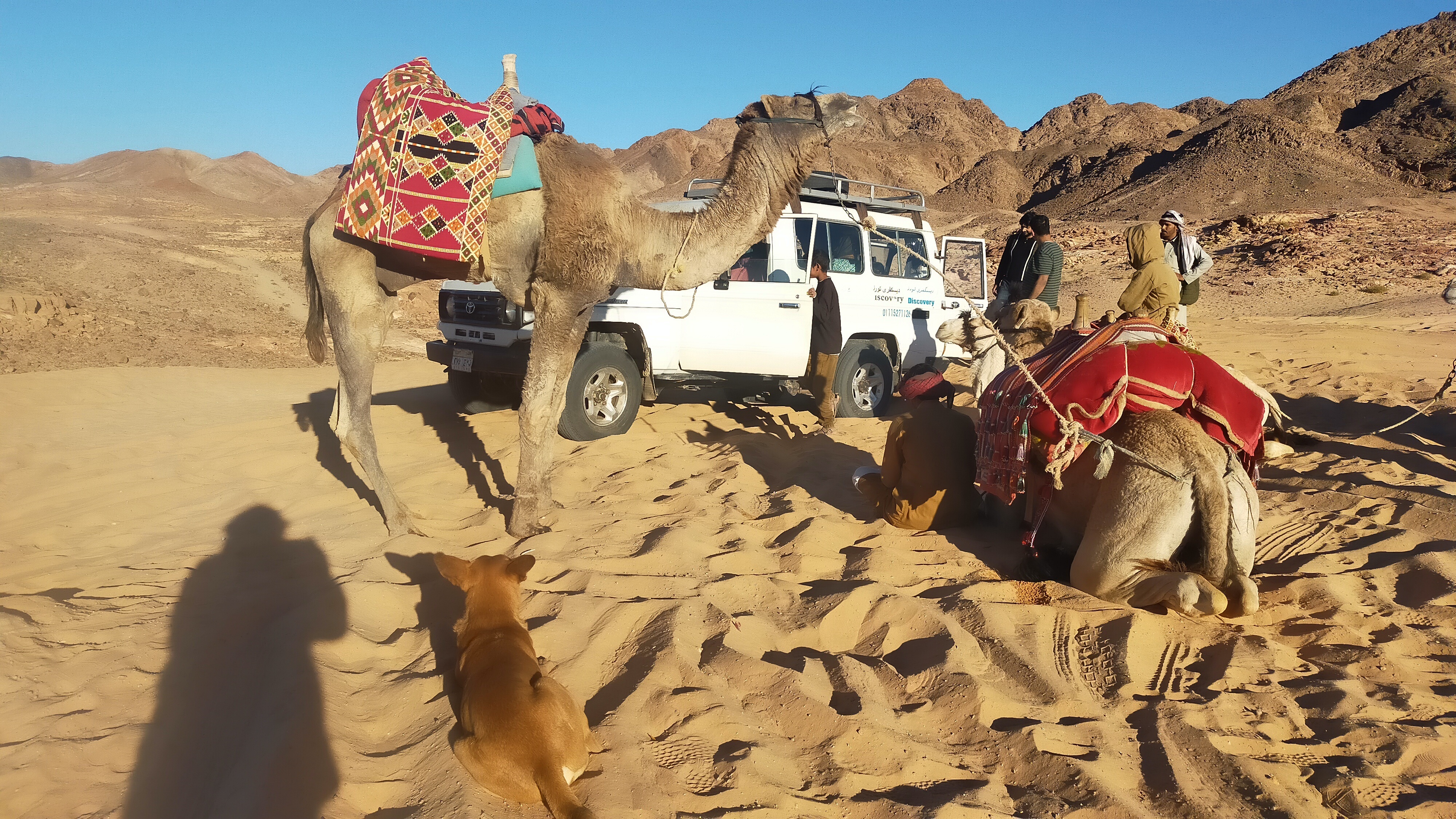 Melahis Camel Trip