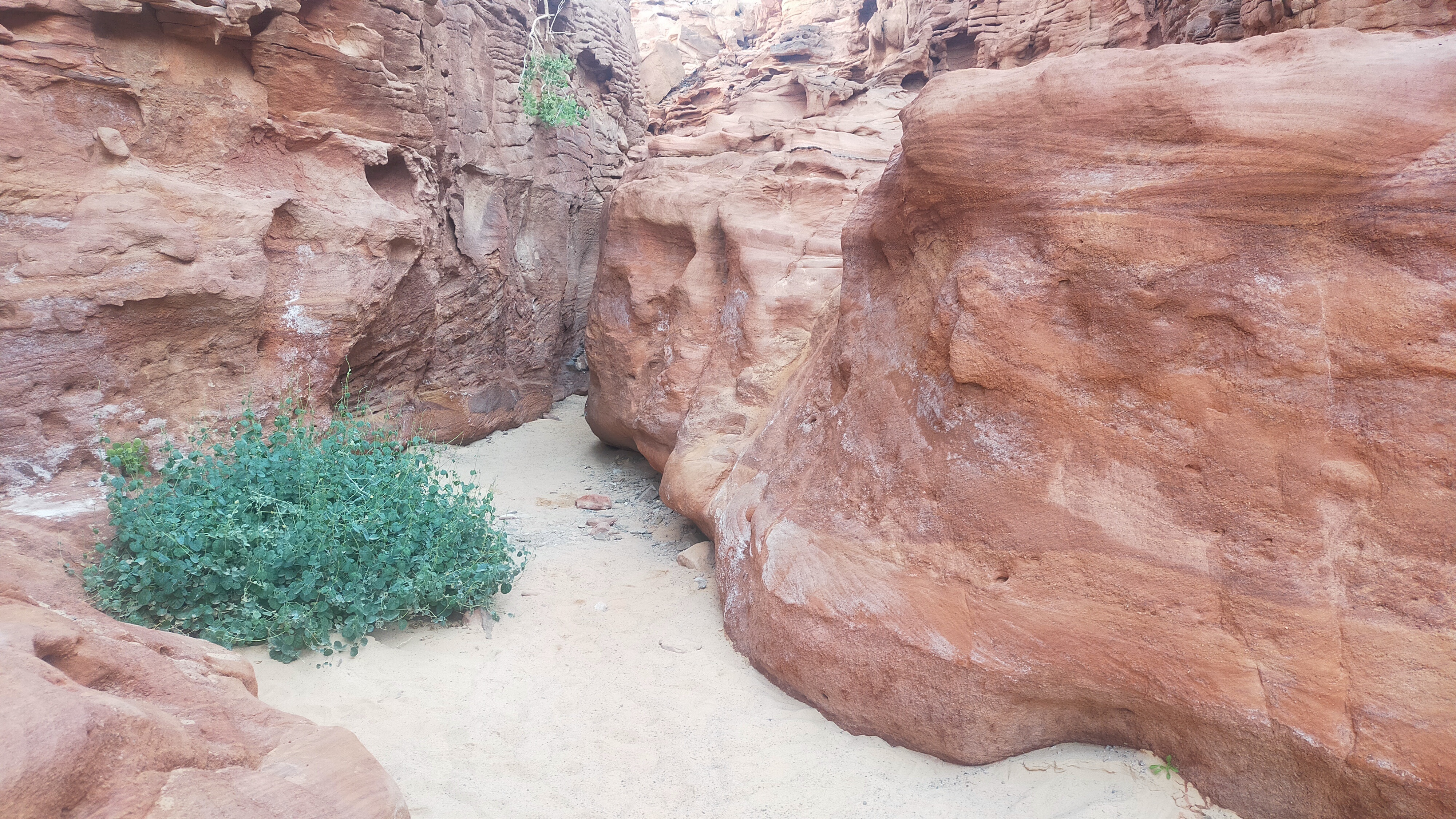 Inside Small Colored (Salama) Canyon