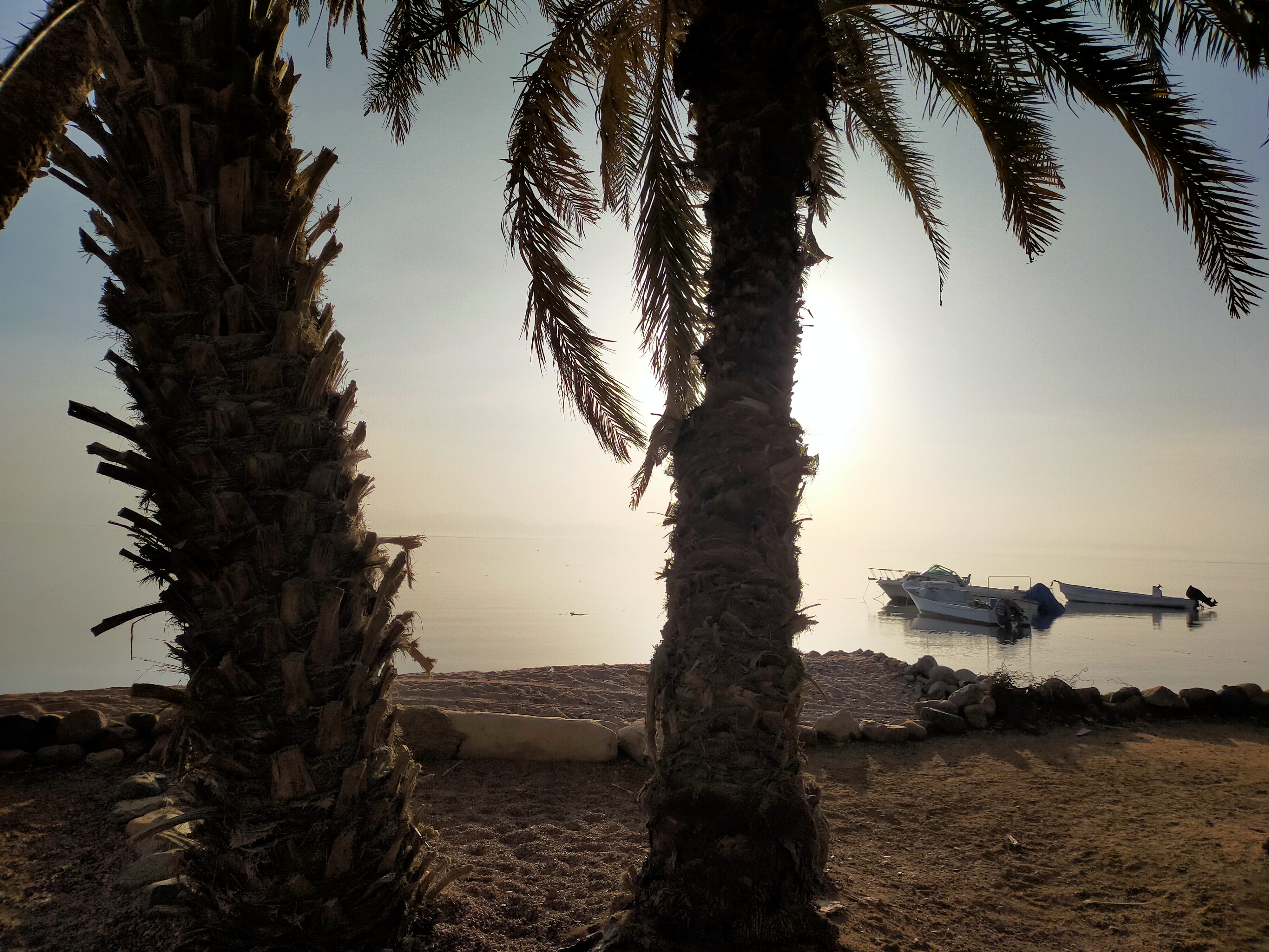 Sinai Discovery Program