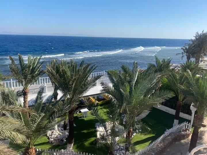 Chillax hotel base package, Dahab