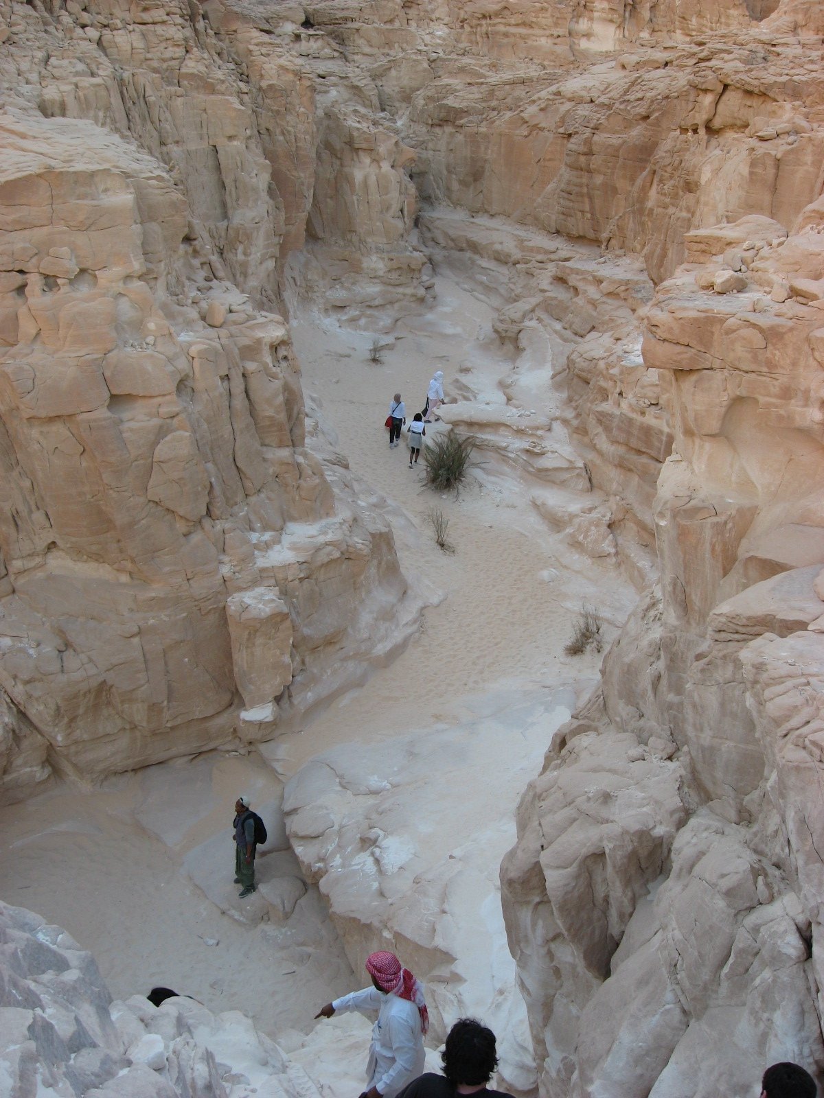 The pale narrow walls of the White Canyon